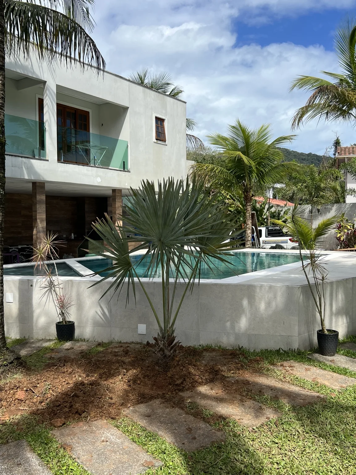 Palmeira de folhagem azulada em área de piscina